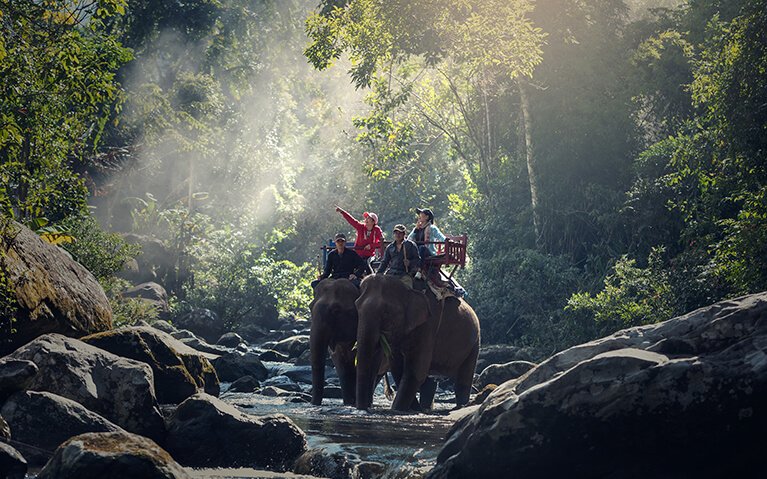 India-Adventure and Wildlife